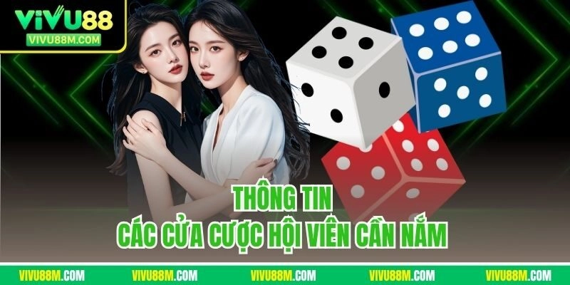 Thông tin các cửa cược hội viên cần nắm