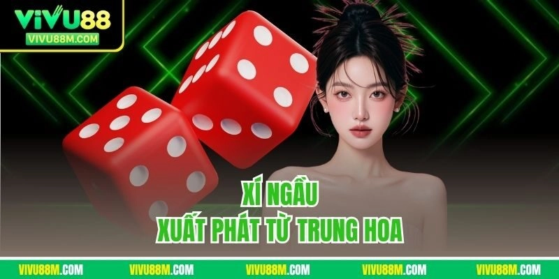 Xí ngầu xuất phát từ Trung Hoa